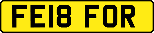 FE18FOR