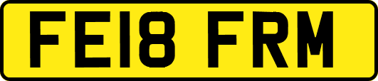 FE18FRM