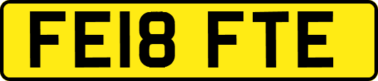 FE18FTE