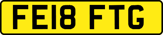 FE18FTG