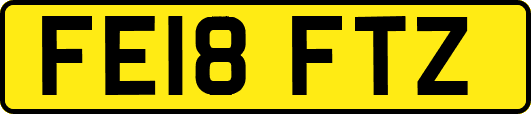FE18FTZ