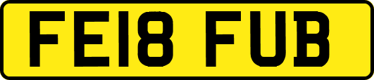 FE18FUB