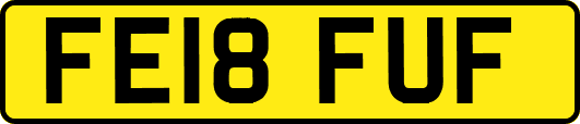 FE18FUF