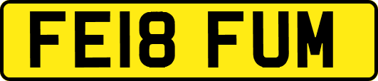 FE18FUM