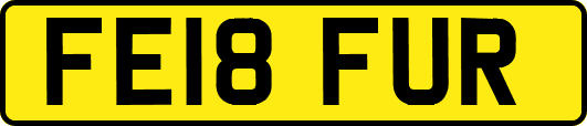 FE18FUR