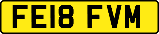 FE18FVM