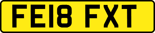 FE18FXT