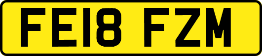 FE18FZM