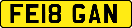FE18GAN