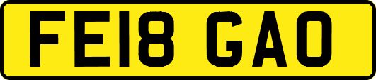 FE18GAO