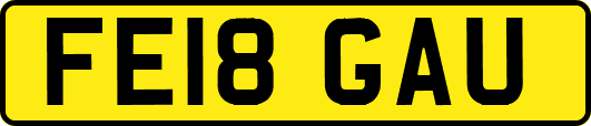 FE18GAU