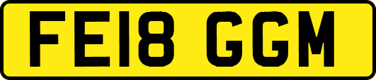 FE18GGM