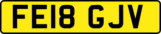 FE18GJV