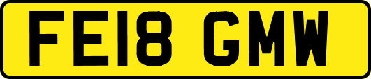 FE18GMW