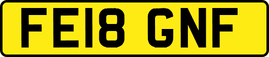 FE18GNF