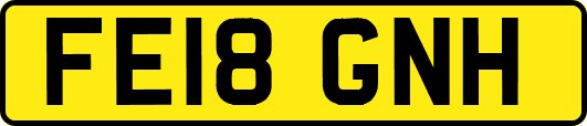 FE18GNH