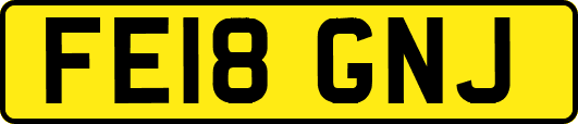 FE18GNJ