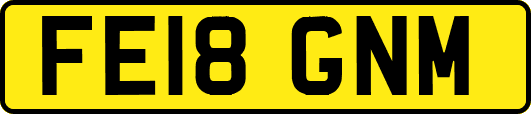 FE18GNM