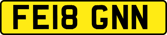 FE18GNN