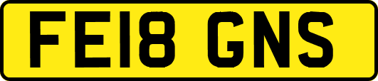 FE18GNS