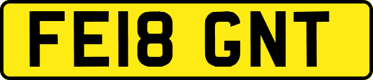 FE18GNT