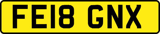 FE18GNX