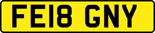 FE18GNY