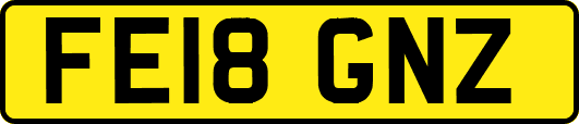 FE18GNZ