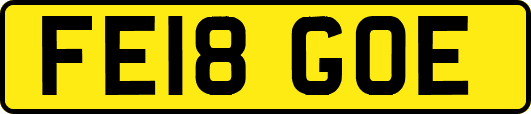 FE18GOE