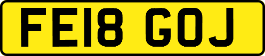 FE18GOJ