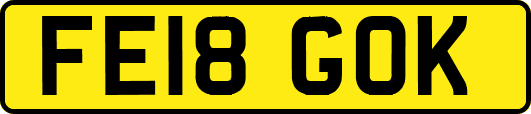 FE18GOK
