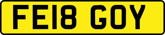 FE18GOY
