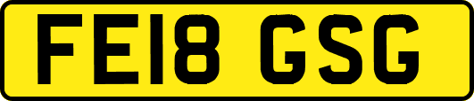 FE18GSG