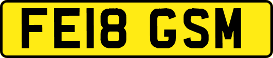 FE18GSM