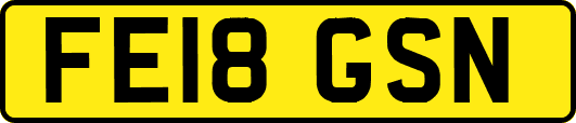 FE18GSN