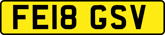 FE18GSV