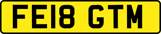 FE18GTM