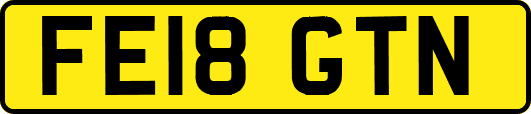 FE18GTN