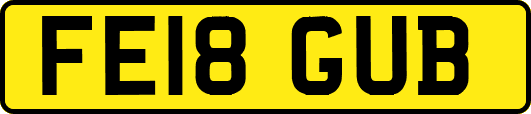 FE18GUB