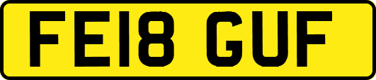 FE18GUF