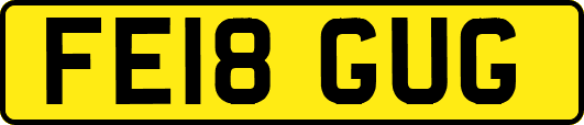 FE18GUG