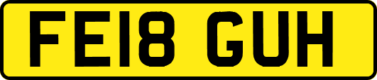 FE18GUH