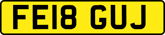 FE18GUJ