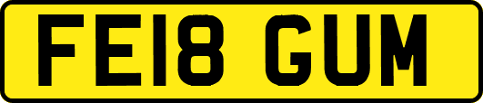 FE18GUM