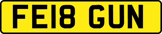 FE18GUN