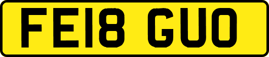 FE18GUO