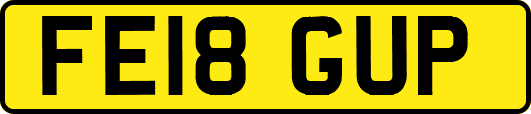 FE18GUP
