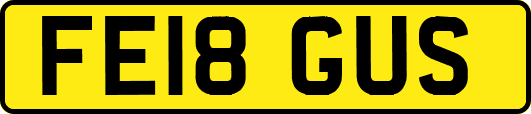 FE18GUS