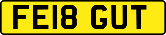 FE18GUT