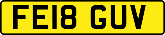 FE18GUV